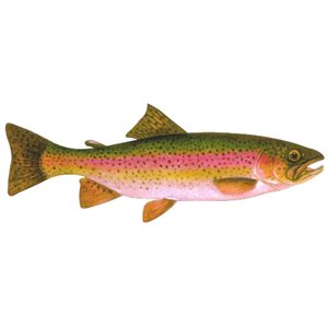 Decal Rainbow Trout .47" x 1.16" (C432)